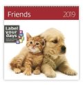 neuveden: Kalendář nástěnný 2019 - Friends