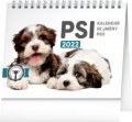 neuveden: Kalendář 2022 stolní: Psi – se jmény psů, 16,5 × 13 cm