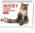 neuveden: Kalendář 2024 stolní: Kočky se jmény, 16,5 × 13 cm
