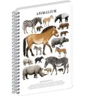 : Spirálový blok Animalium - Lichokopytníci, čtverečkovaný, A5