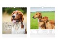 neuveden: Dogs 2026 - nástěnný kalendář