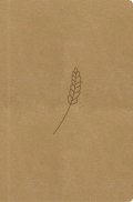 neuveden: Bible, překlad 21. století (medová) - kapesní
