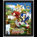 neuveden: Sonic 3D obraz - Catching Rings