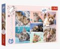 neuveden: Trefl Puzzle V kočičím světě/100 dílků