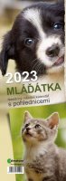 neuveden: Kalendář 2023 Mláďátka, pohlednicový