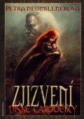 Neomillnerová Petra: Písně čarodějky 3 - Zjizvení