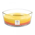 neuveden: WoodWickTrilogy Tropical Sunrise svíčka loď Trilogy 453,6g