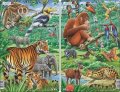 neuveden: Puzzle MIDI - Zvířata v Indii,JV Asii /29 dílků (2 druhy)