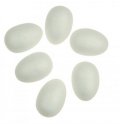 neuveden: Dílky z polystyrenu - vejce 6cm (6 ks)
