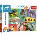 neuveden: Trefl Puzzle Animal Planet: Svět exotických zvířat/200 dílků