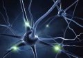 neuveden: Pohlednice 3D Neuron