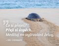 Chinmoy Sri: Magnet na lednici - Co si přeješ? Přeji si úspěch. Medituj na vytrvalost že