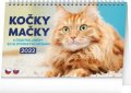 neuveden: Kalendář 2022 stolní: Kočky – Mačky CZ/SK, 23,1 × 14,5 cm