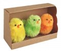 neuveden: Velikonoční kuřátka v krabičce 5 cm, 3ks