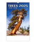 neuveden: Kalendář nástěnný 2025 - Trees / Bäume / Stromy