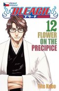 Kubo Tite: Bleach 12: Flower on the Precipice