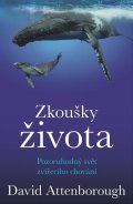 : Zkoušky života - Pozoruhodný svět zvířecího chování