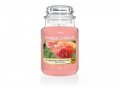 neuveden: YANKEE CANDLE Sun-Drenched Apricot Rose svíčka 623g