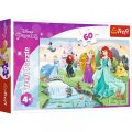 neuveden: Trefl Puzzle Disney Princess - Seznamte se s princeznami / 60 dílků