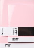 neuveden: Pantone Zápisník tečkovaný, 2 velikosti - Light pink 13-2006