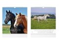 neuveden: Horses 2026 - nástěnný kalendář