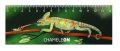 neuveden: Pravítko 3D - Chameleon