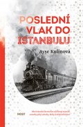 Kulinová Ayse: Poslední vlak do Istanbulu
