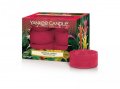 neuveden: YANKEE CANDLE Tropical Jungle svíčka 9,8g čajová 12ks