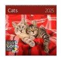 neuveden: Kalendář nástěnný 2025 - Cats