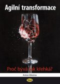 Březina Anton: Agilní transformace - Proč bývá tak křehká?