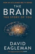 Eagleman David: The Brain, The Story of You