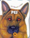 Delgado Consuelo: Pes - Moji kamarádi zvířátka