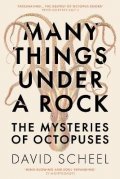 Scheel David: Many Things Under a Rock: The Mysteries of Octopuses