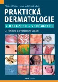 Vlašín Zdeněk: Praktická dermatologie v obrazech a schématech