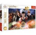 neuveden: Trefl Puzzle Harry Potter - Tajemný Harry Potter/300 dílků