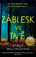 Willingham Stacy: Záblesk ve tmě