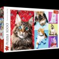 neuveden: Trefl Puzzle Veselé kočky / 1000 dílků