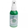 neuveden: Perleťový sprej na tmavý textil Cadence - světle zelená / 100 ml