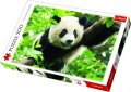 neuveden: Trefl Puzzle Panda / 500 dílků