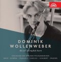 Wollenweber Dominik: Dominik Wollenweber – The Art of English Horn - CD