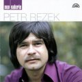 Rezek Petr: Petr Rezek - pop galerie CD
