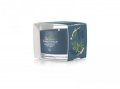 neuveden: YANKEE CANDLE Bayside Cedar svíčka 37g votivní