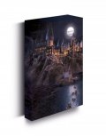 neuveden: Harry Potter Obraz LED svítící 30x40 cm - Bradavice hrad
