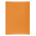 neuveden: Spisové desky s gumičkou A4 lepenka - oranžové