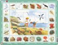 neuveden: Puzzle MAXI - Život u moře/48 dílků