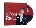 Highsmithová Patricia: 5x Tom Ripley - CDmp3