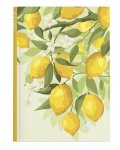: Notes tečky - A5 - lamino - Citrony
