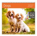 : Kalendář nástěnný 2027 - Dogs