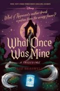 Braswell Liz: What Once Was Mine : A Twisted Tale