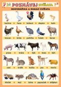kolektiv autorů: Poznávej zvířata - Hospodářská a domácí zvířata